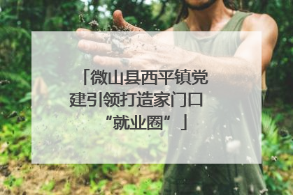 微山县西平镇党建引领打造家门口“就业圈”