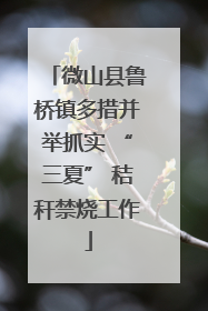 微山县鲁桥镇多措并举抓实 “三夏” 秸秆禁烧工作