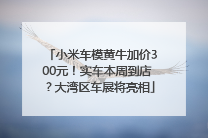 小米车模黄牛加价300元！实车本周到店？大湾区车展将亮相