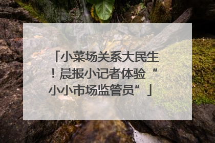 小菜场关系大民生！晨报小记者体验“小小市场监管员”