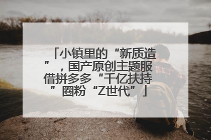 小镇里的“新质造”，国产原创主题服借拼多多“千亿扶持”圈粉“Z世代”