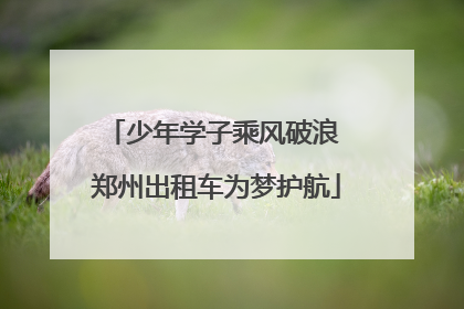 少年学子乘风破浪 郑州出租车为梦护航