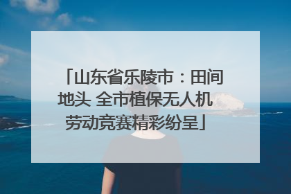 山东省乐陵市：田间地头 全市植保无人机劳动竞赛精彩纷呈