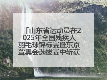 山东省运动员在2025年全国残疾人羽毛球锦标赛暨东京聋奥会选拔赛中斩获3银1铜