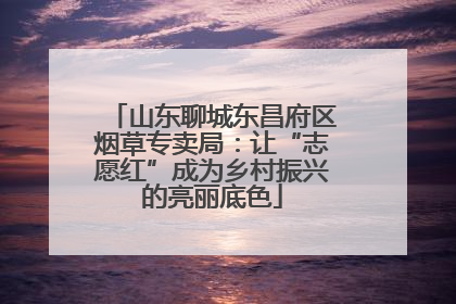 山东聊城东昌府区烟草专卖局：让“志愿红”成为乡村振兴的亮丽底色