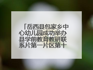 岳西县包家乡中心幼儿园成功举办县学前教育教研联系片第一片区第十三次专题研讨会