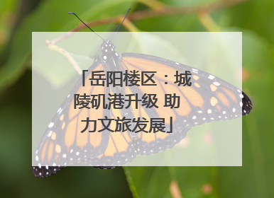 岳阳楼区：城陵矶港升级 助力文旅发展