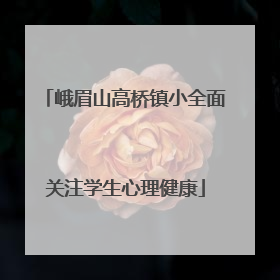 峨眉山高桥镇小全面关注学生心理健康
