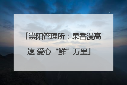 崇阳管理所：果香漫高速 爱心“鲜”万里