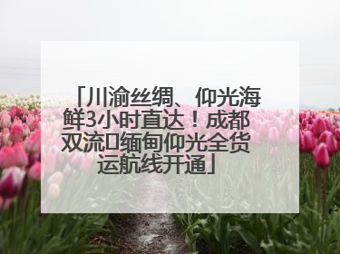 川渝丝绸、仰光海鲜3小时直达！成都双流⇌缅甸仰光全货运航线开通