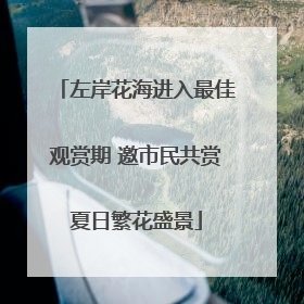 左岸花海进入最佳观赏期 邀市民共赏夏日繁花盛景
