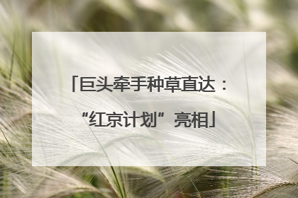 巨头牵手种草直达：“红京计划”亮相