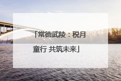 常德武陵：税月童行 共筑未来