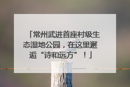 常州武进首座村级生态湿地公园，在这里邂逅“诗和远方”！