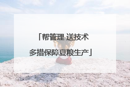 帮管理 送技术 多措保障夏粮生产