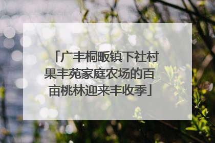 广丰桐畈镇下社村果丰苑家庭农场的百亩桃林迎来丰收季