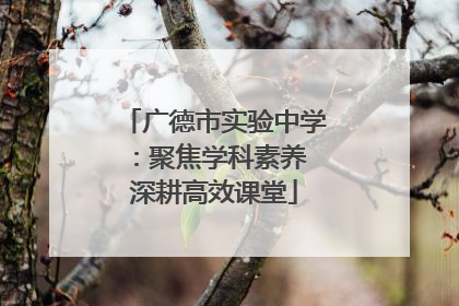 广德市实验中学：聚焦学科素养 深耕高效课堂