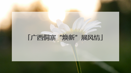 广西侗寨“焕新”展风情
