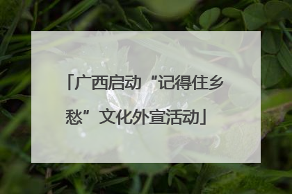 广西启动“记得住乡愁”文化外宣活动