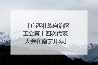 广西壮族自治区工会第十四次代表大会在南宁开幕