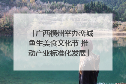 广西横州举办峦城鱼生美食文化节 推动产业标准化发展