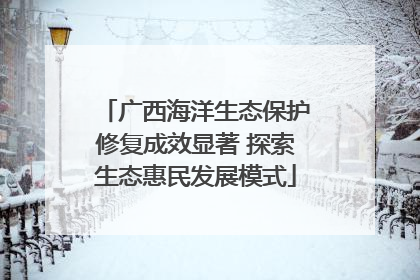 广西海洋生态保护修复成效显著 探索生态惠民发展模式
