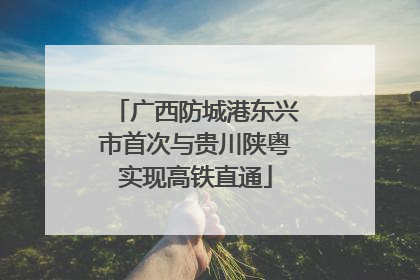 广西防城港东兴市首次与贵川陕粤实现高铁直通