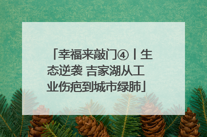 幸福来敲门④丨生态逆袭 吉家湖从工业伤疤到城市绿肺
