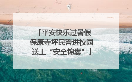 平安快乐过暑假 保康寺坪民警进校园送上“安全锦囊”