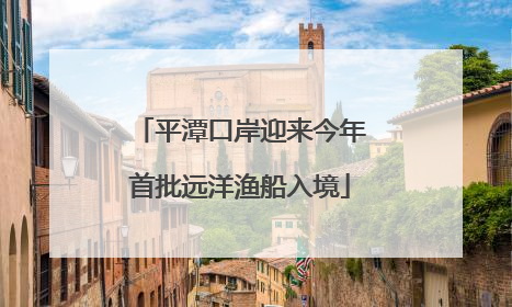 平潭口岸迎来今年首批远洋渔船入境