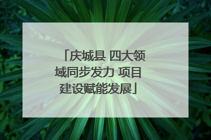 庆城县 四大领域同步发力 项目建设赋能发展