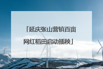 延庆张山营镇百亩网红稻田启动插秧