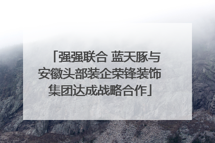 强强联合 蓝天豚与安徽头部装企荣锋装饰集团达成战略合作