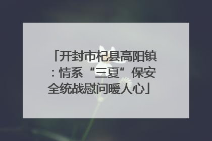 开封市杞县高阳镇：情系“三夏”保安全统战慰问暖人心