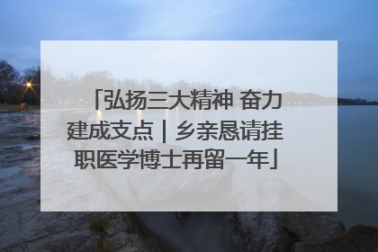 弘扬三大精神 奋力建成支点｜乡亲恳请挂职医学博士再留一年