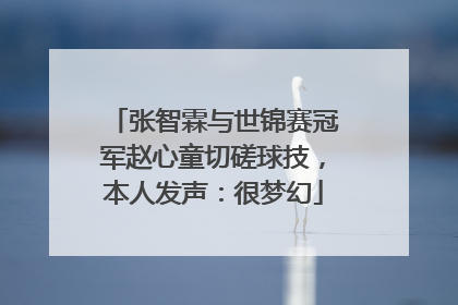 张智霖与世锦赛冠军赵心童切磋球技，本人发声：很梦幻