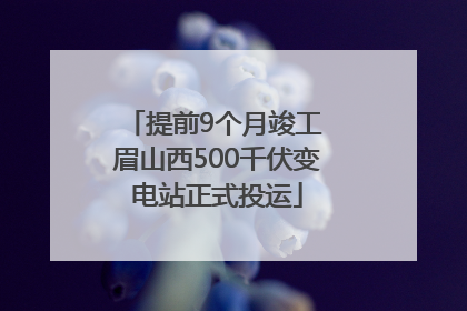 提前9个月竣工 眉山西500千伏变电站正式投运