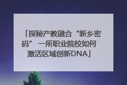 探秘产教融合“新乡密码” 一所职业院校如何激活区域创新DNA
