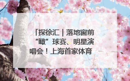 探徐汇｜落地窗前“瞰”球赛、明星演唱会！上海首家体育特色高端酒店亮相