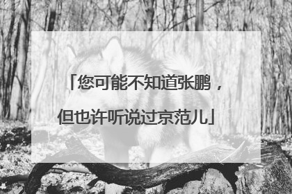 您可能不知道张鹏，但也许听说过京范儿