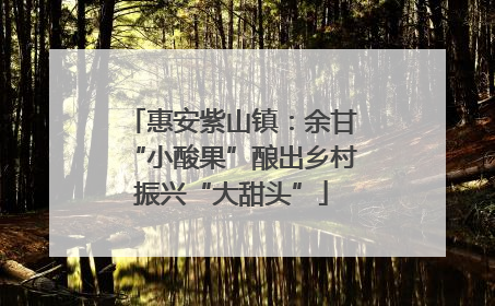 惠安紫山镇：余甘“小酸果”酿出乡村振兴“大甜头”