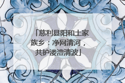 慈利县阳和土家族乡：净网清河，共护溇澧清波