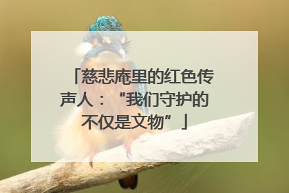 慈悲庵里的红色传声人：“我们守护的不仅是文物”