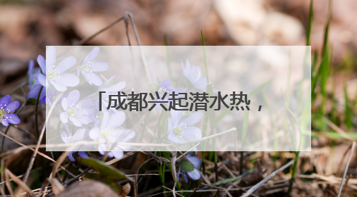 成都兴起潜水热，“世运同款”自由潜成市民避暑新宠