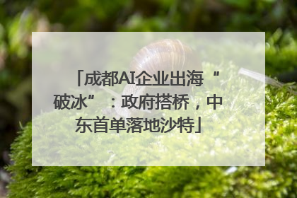 成都AI企业出海“破冰”：政府搭桥，中东首单落地沙特