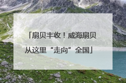 扇贝丰收！威海扇贝从这里“走向”全国