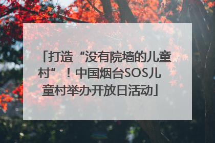 打造“没有院墙的儿童村”！中国烟台SOS儿童村举办开放日活动