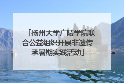 扬州大学广陵学院联合公益组织开展非遗传承暑期实践活动