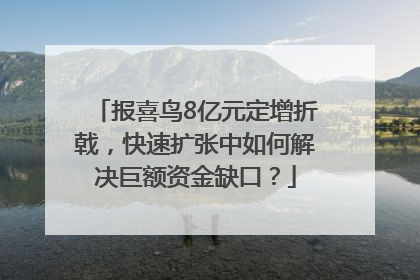 报喜鸟8亿元定增折戟，快速扩张中如何解决巨额资金缺口？