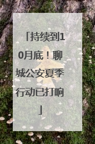 持续到10月底！聊城公安夏季行动已打响